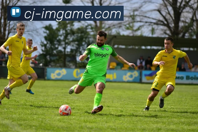 IM电竞官网平台生态图