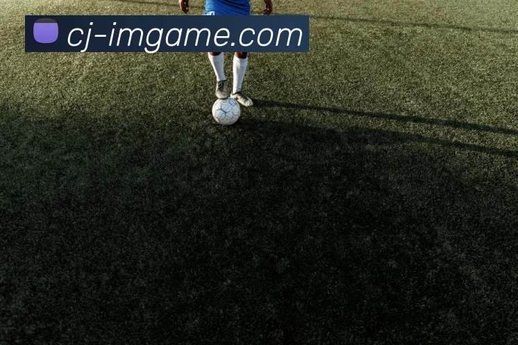 IM电竞官网全站App